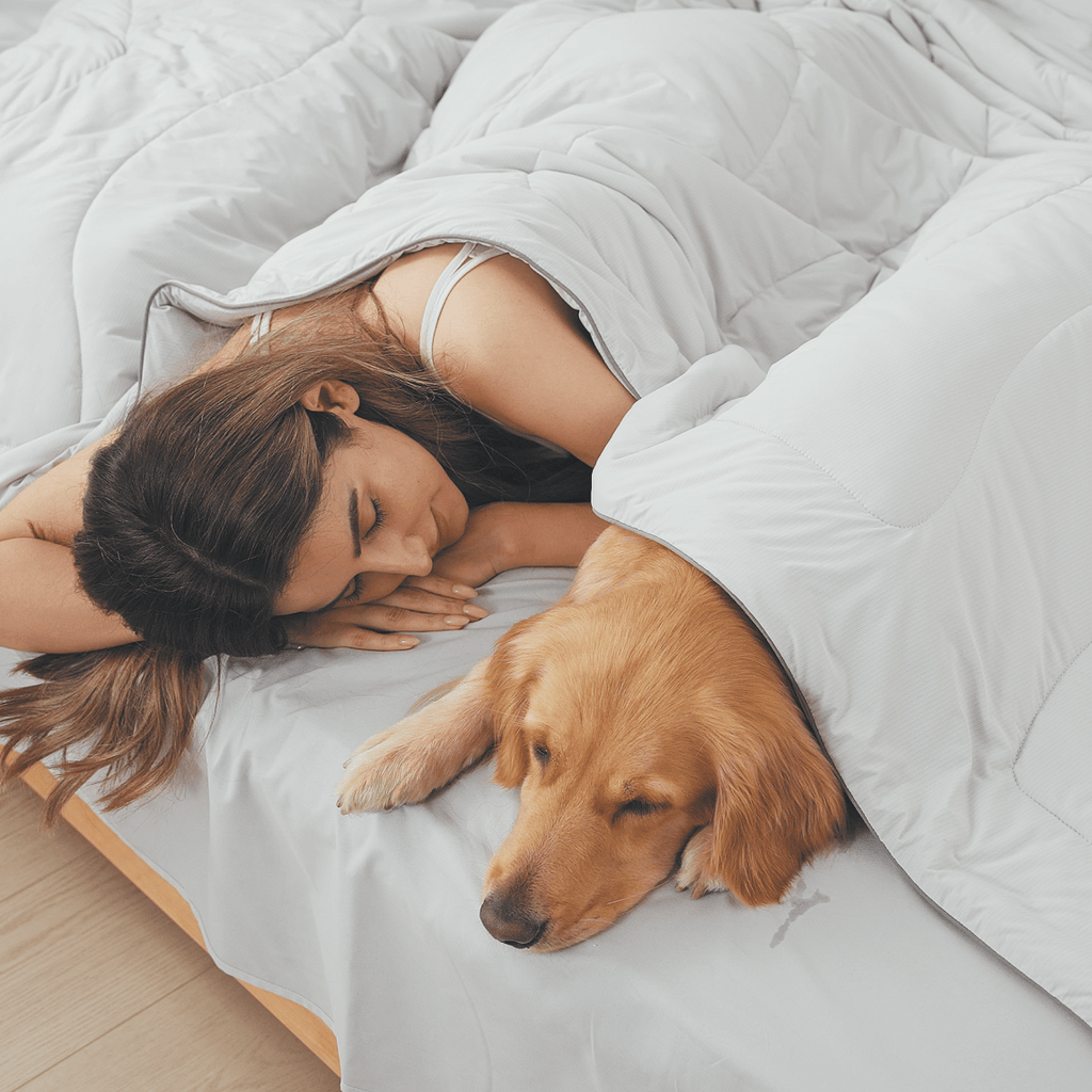 Bedtter ArcticBreeze Pro-Grade Cooling Comforter