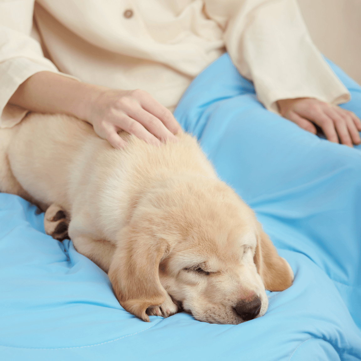 Bedtter Cooling Comforter for Hot Sleepers