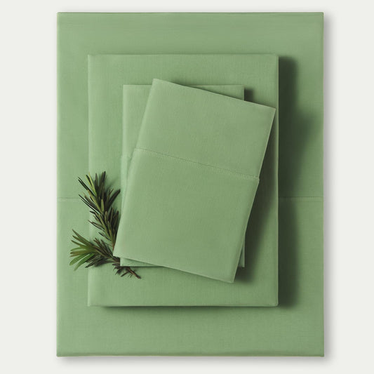 Pine Mist